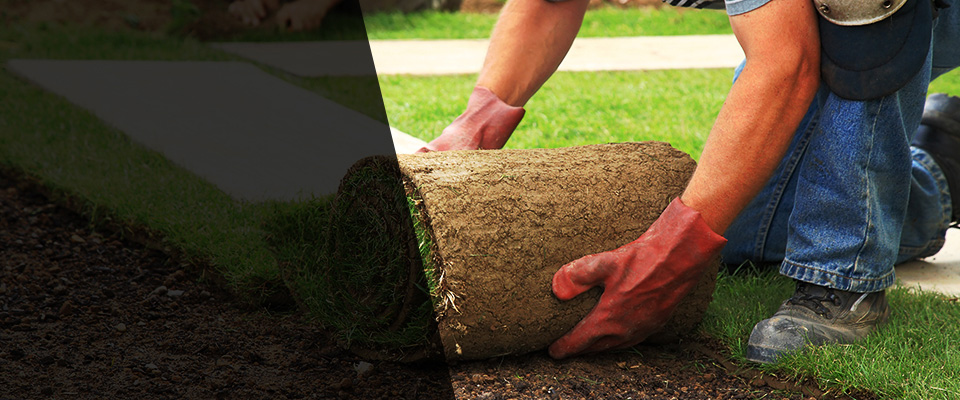 Jacksonville Landscapers